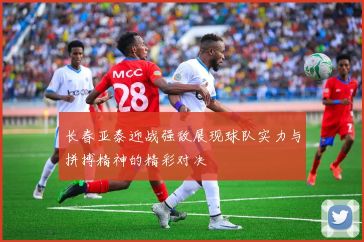 长春亚泰迎战强敌展现球队实力与拼搏精神的精彩对决