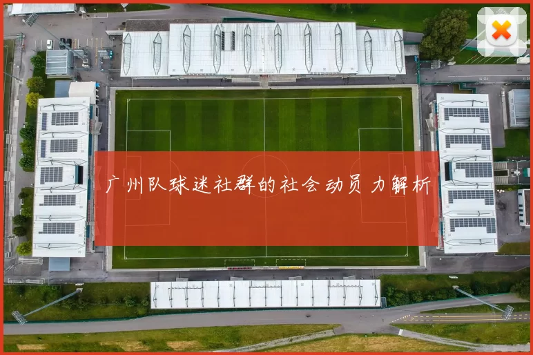 广州队球迷社群的社会动员力解析