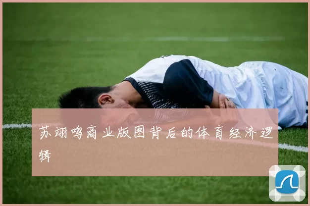 苏翊鸣商业版图背后的体育经济逻辑