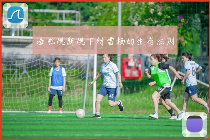 造犯规新规下特雷杨的生存法则