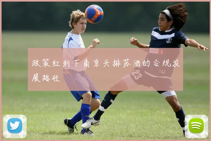 政策红利下南京头排苏酒的合规发展路径