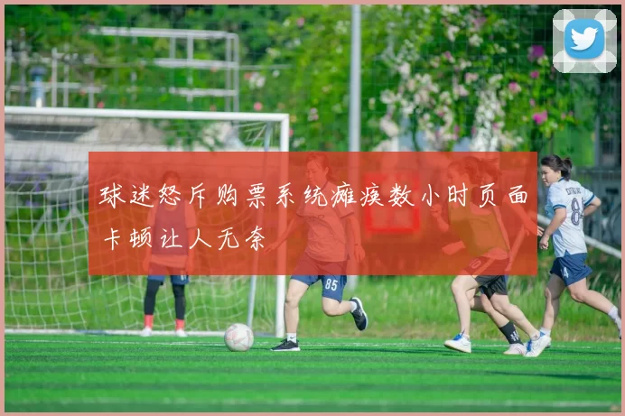 球迷怒斥购票系统瘫痪数小时页面卡顿让人无奈