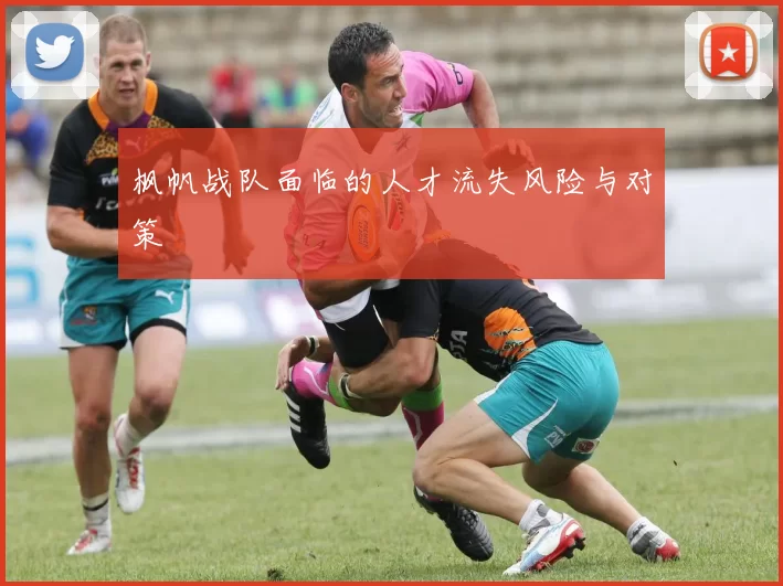 枫帆战队面临的人才流失风险与对策