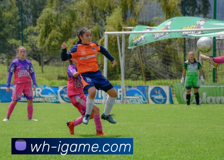 数据防护可视化